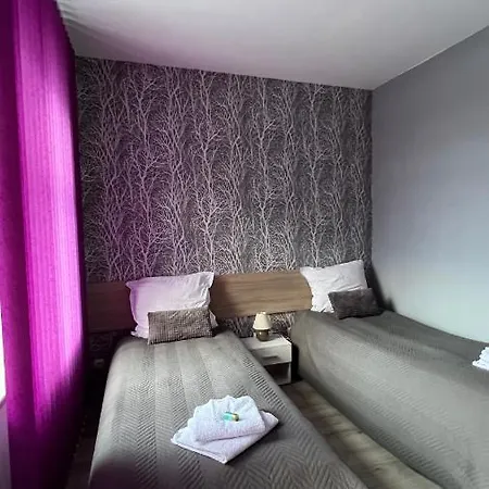 Chevermeto ゲストハウス ケムニッツ